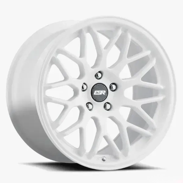 ESR Wheels AP1 Wheel 18x9.5 +35 Gloss White