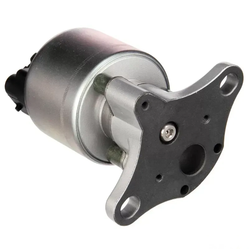 Delphi EGR Valve